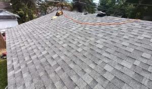 Detroit Roofers of Belleville