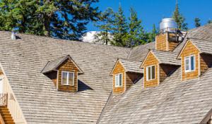 DeVito Roofing