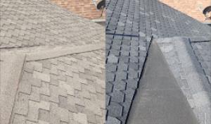 Project One Roofing
