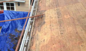 Brady Roofing