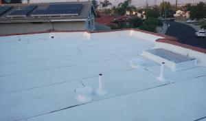 Everguard Roofing & Construction