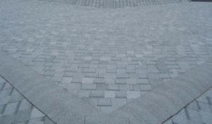 B&D Roofing Solutions