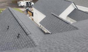 Alpha Roofing Services