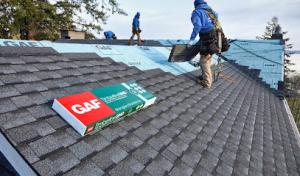 Top Notch Roofing Pros