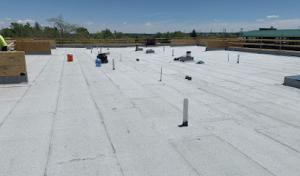 Five Star Roofing