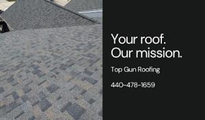 Top Gun Roofing