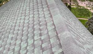 Alpha Roofing