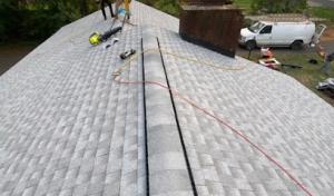 Paradise Roofing