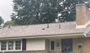 Ridge Point Roofing