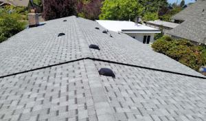 Best American Roofing Siding & Gutter