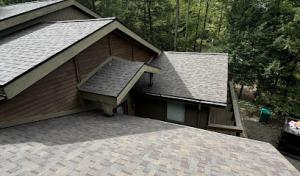 Roof Leopard