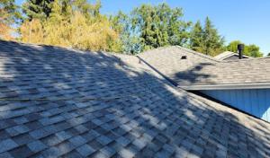 Any Roof Repair & Installation