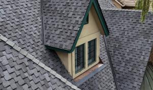 Alba's Roofing