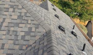 Davey Roofing