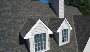 Modern Exterior Roofing
