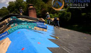 Southern Shingles