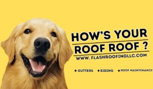 Flash Roofing LLC : PENNSYLVANIA