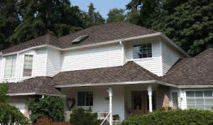 Genesis Roofing Services