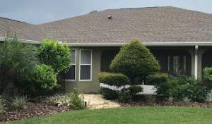 Morel Roofing