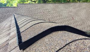 Roof Pro
