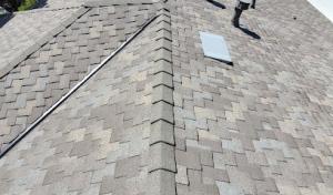 Roof Land