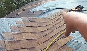 Done Right Canoga Park CA