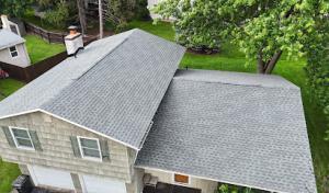 Dynasty Roofing