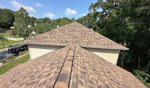 D&V Roofing