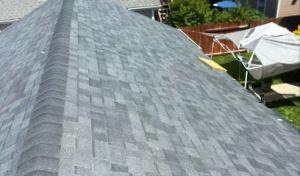 Boise Roof