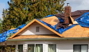 Roof Troopers