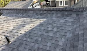 Roof Prodigy