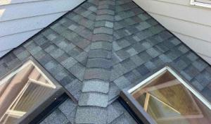Bliss Roofing