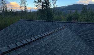 Paradise Roofing