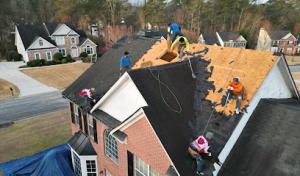 Roof Bullies