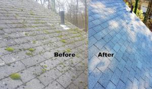 Ugly Roof Doctor LLC, Roof Cleaning, Repair & Replacement