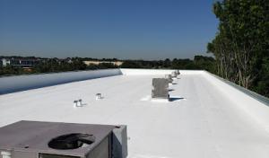 Gulf-Tex Roofing & Services