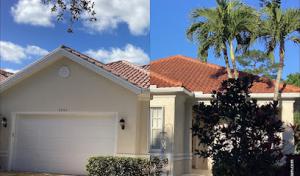 Solace Roofing