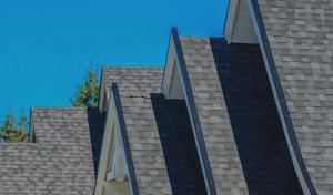 Roofing Staff & Remodeling