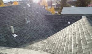 Matson Roofing