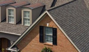 Van Martin Roofing