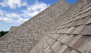 Sharkey Roofing