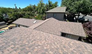 Noah's Roofing