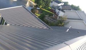 The Roof Sharks