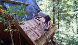 Moriarty's Roofing