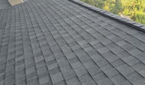 1st Amazon Roofing & More