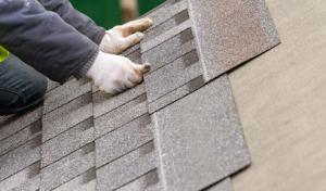 Red Fox Roofers
