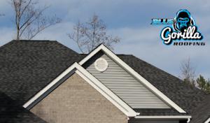 Blue Gorilla Roofing