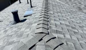 Western Roofing Systems