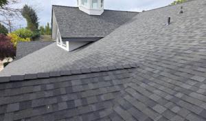Tip Top Roofing