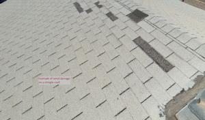 Mighty Dog Roofing East Valley